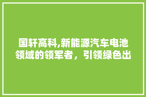 国轩高科,新能源汽车电池领域的领军者，引领绿色出行新风尚