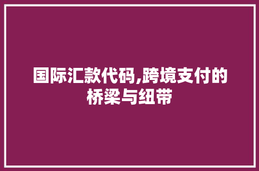 国际汇款代码,跨境支付的桥梁与纽带