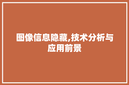 图像信息隐藏,技术分析与应用前景