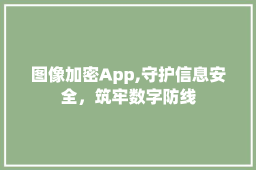 图像加密App,守护信息安全，筑牢数字防线