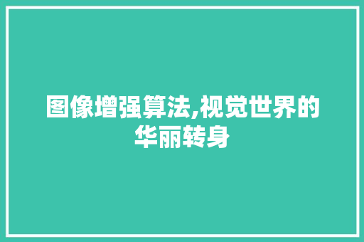 图像增强算法,视觉世界的华丽转身