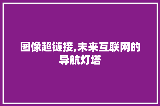 图像超链接,未来互联网的导航灯塔