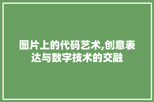 图片上的代码艺术,创意表达与数字技术的交融