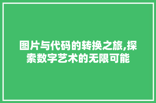 图片与代码的转换之旅,探索数字艺术的无限可能