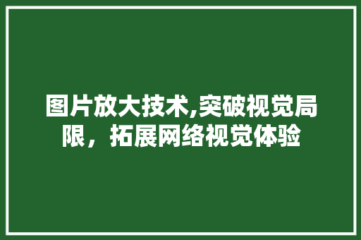 图片放大技术,突破视觉局限，拓展网络视觉体验