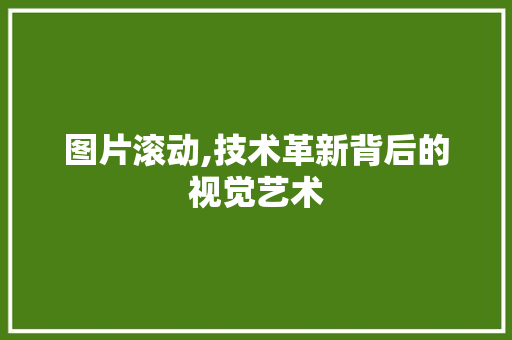 图片滚动,技术革新背后的视觉艺术