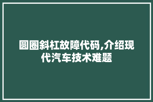 圆圈斜杠故障代码,介绍现代汽车技术难题