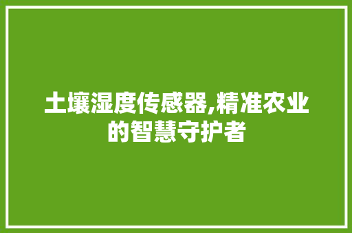 土壤湿度传感器,精准农业的智慧守护者