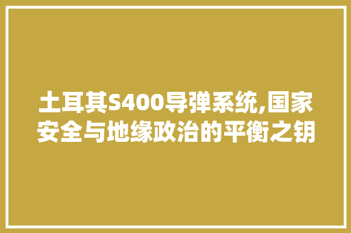 土耳其S400导弹系统,国家安全与地缘政治的平衡之钥