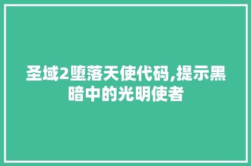 圣域2堕落天使代码,提示黑暗中的光明使者