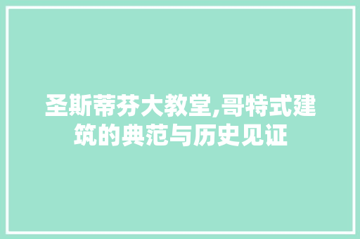 圣斯蒂芬大教堂,哥特式建筑的典范与历史见证