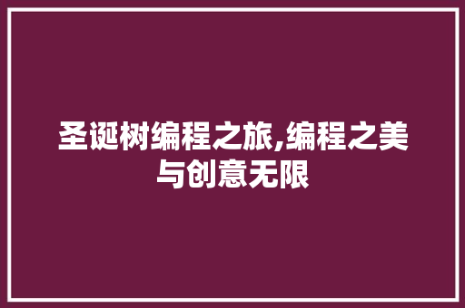 圣诞树编程之旅,编程之美与创意无限