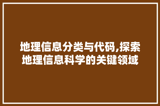 地理信息分类与代码,探索地理信息科学的关键领域