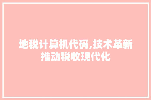 地税计算机代码,技术革新推动税收现代化