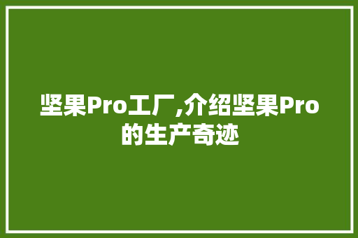 坚果Pro工厂,介绍坚果Pro的生产奇迹