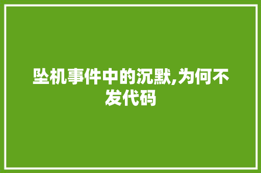 坠机事件中的沉默,为何不发代码