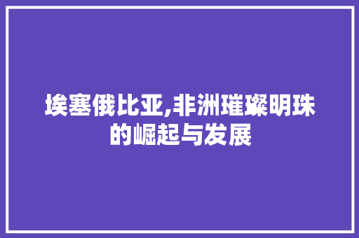 埃塞俄比亚,非洲璀璨明珠的崛起与发展