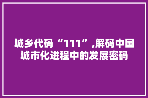 城乡代码“111”,解码中国城市化进程中的发展密码