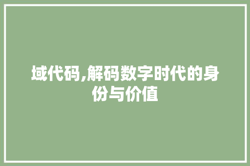 域代码,解码数字时代的身份与价值