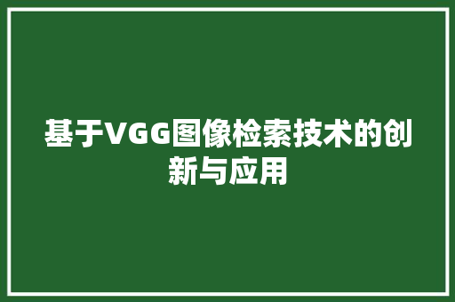 基于VGG图像检索技术的创新与应用