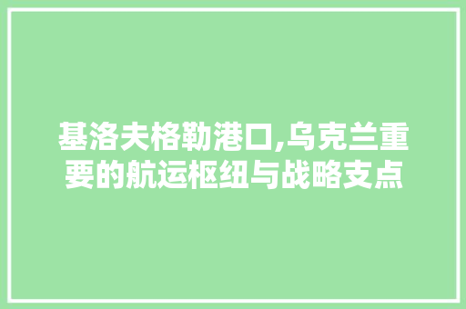 基洛夫格勒港口,乌克兰重要的航运枢纽与战略支点