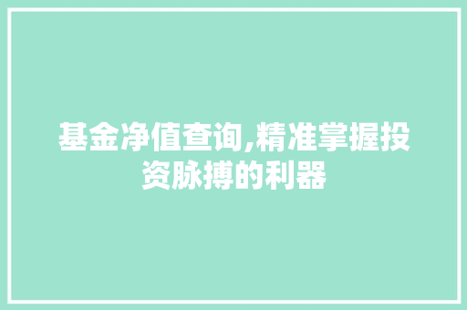 基金净值查询,精准掌握投资脉搏的利器