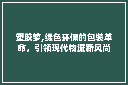 塑胶箩,绿色环保的包装革命，引领现代物流新风尚