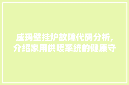 威玛壁挂炉故障代码分析,介绍家用供暖系统的健康守护神