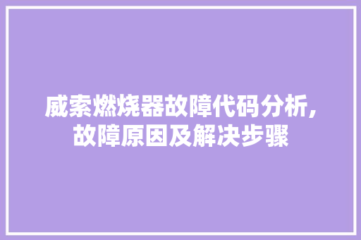 威索燃烧器故障代码分析,故障原因及解决步骤