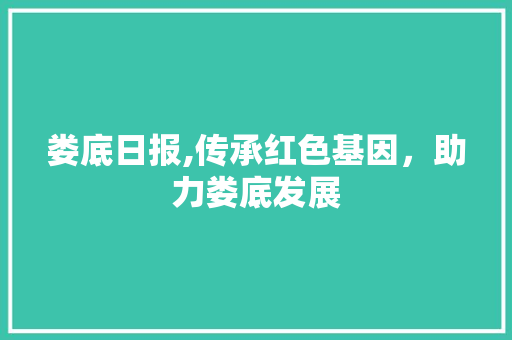 娄底日报,传承红色基因，助力娄底发展