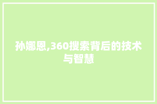 孙娜恩,360搜索背后的技术与智慧