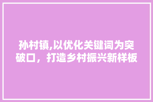 孙村镇,以优化关键词为突破口，打造乡村振兴新样板