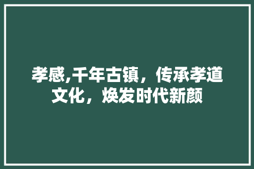 孝感,千年古镇，传承孝道文化，焕发时代新颜