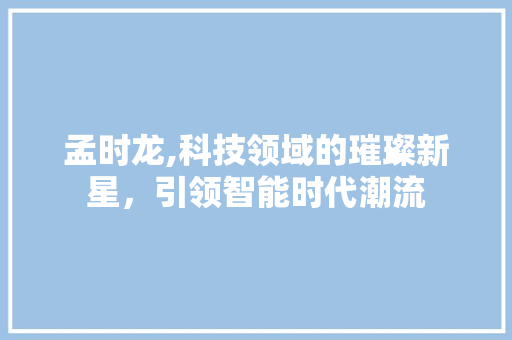 孟时龙,科技领域的璀璨新星，引领智能时代潮流