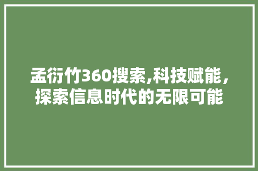 孟衍竹360搜索,科技赋能，探索信息时代的无限可能