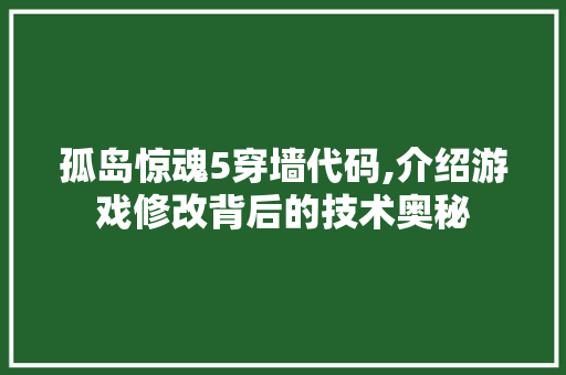 孤岛惊魂5穿墙代码,介绍游戏修改背后的技术奥秘