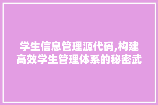 学生信息管理源代码,构建高效学生管理体系的秘密武器