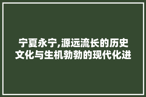 宁夏永宁,源远流长的历史文化与生机勃勃的现代化进程