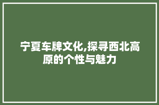 宁夏车牌文化,探寻西北高原的个性与魅力