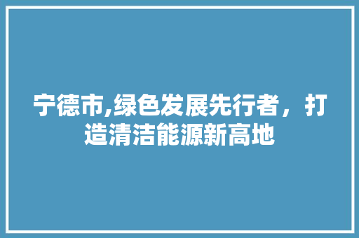 宁德市,绿色发展先行者，打造清洁能源新高地 React