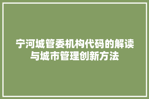 宁河城管委机构代码的解读与城市管理创新方法