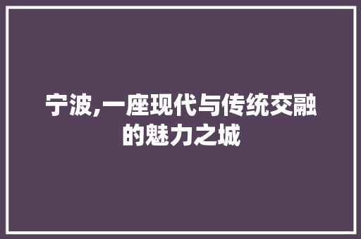 宁波,一座现代与传统交融的魅力之城