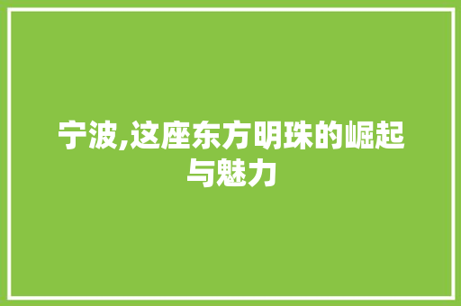 宁波,这座东方明珠的崛起与魅力