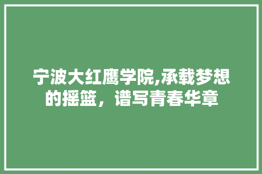 宁波大红鹰学院,承载梦想的摇篮，谱写青春华章