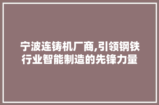 宁波连铸机厂商,引领钢铁行业智能制造的先锋力量