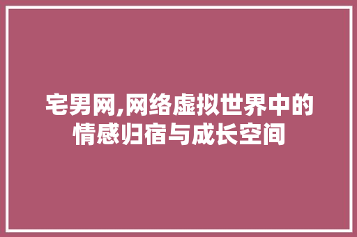 宅男网,网络虚拟世界中的情感归宿与成长空间