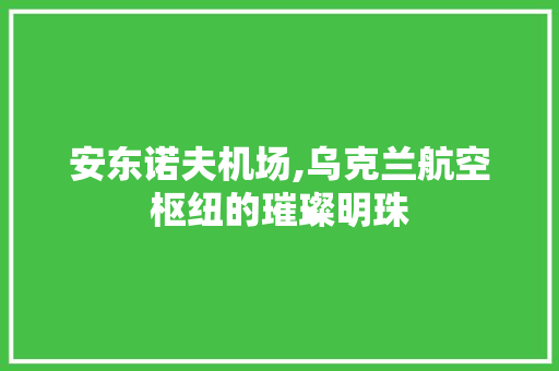 安东诺夫机场,乌克兰航空枢纽的璀璨明珠