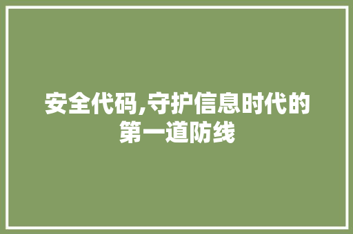 安全代码,守护信息时代的第一道防线