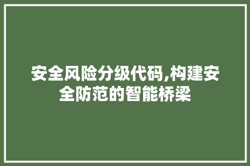 安全风险分级代码,构建安全防范的智能桥梁