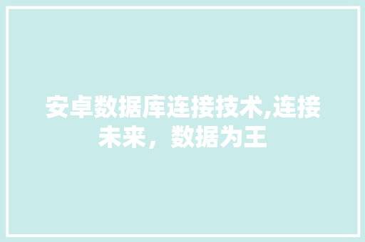 安卓数据库连接技术,连接未来，数据为王